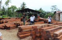 Dishut Prihatin Banyak Temuan Kayu Hasil Illegal Logging